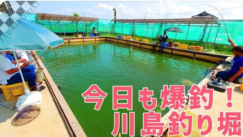 川島釣り堀 1