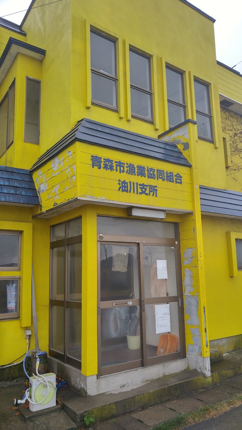 油川漁港 1