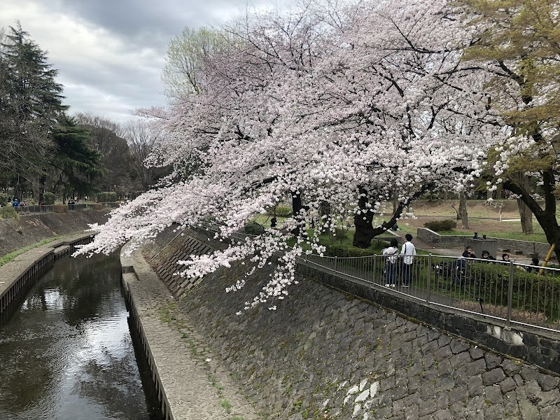 和田堀公園 1