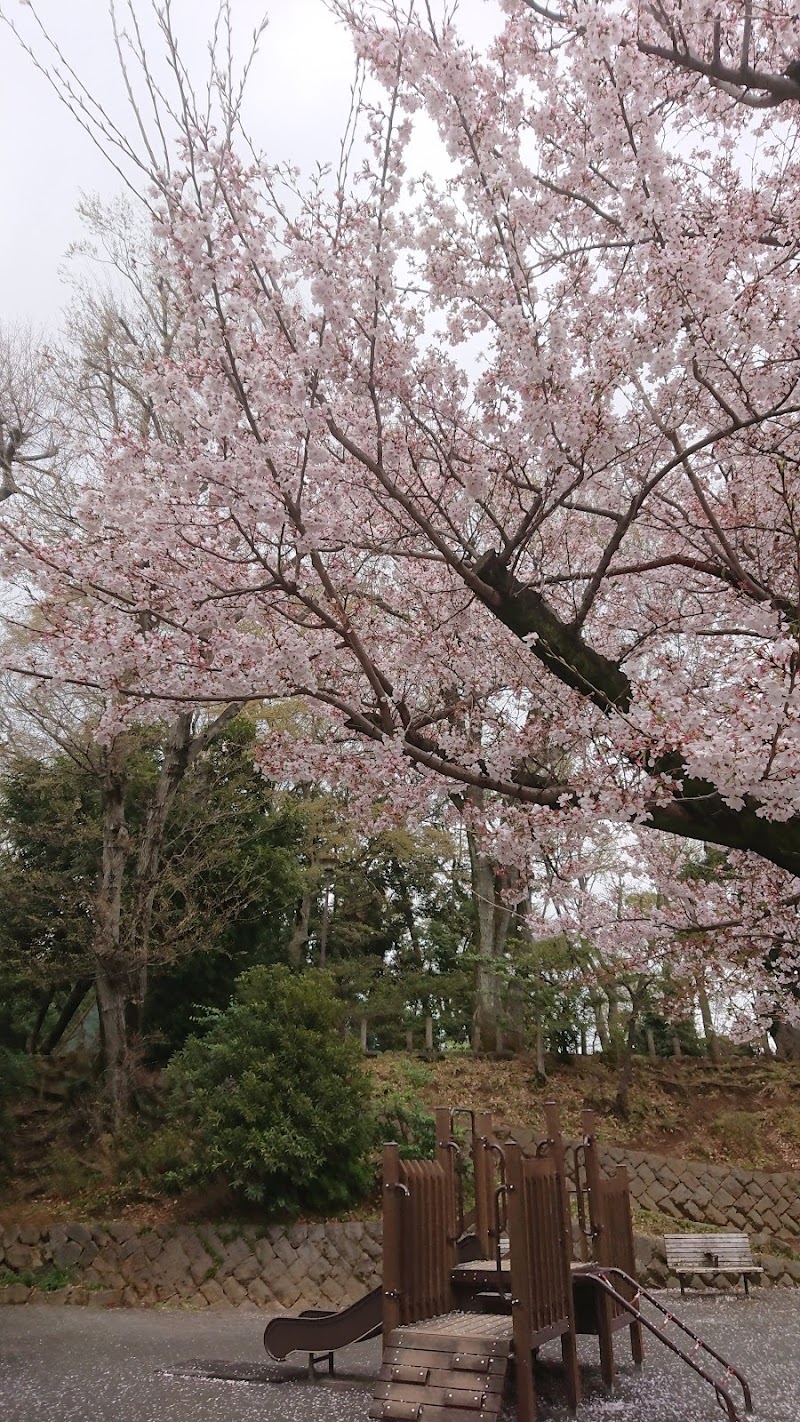 世田谷区立世田谷城阯公園 1