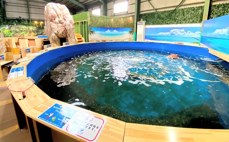 釣って見つけるぼうけんの国 湘南釣堀 1