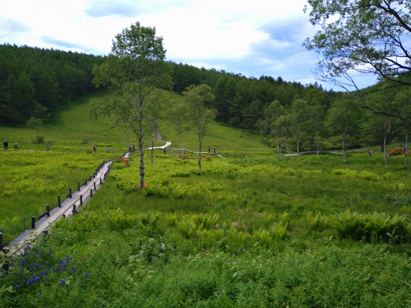 Nyukasa Marshlands 1