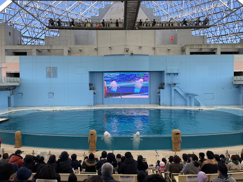 横浜・八景島シーパラダイス 1