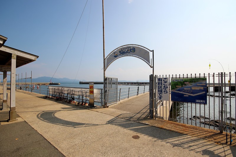 Umi-ing Oshima 1