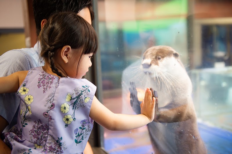 伊勢シーパラダイス 1