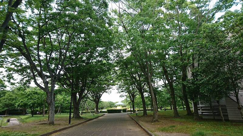 城北公園 1
