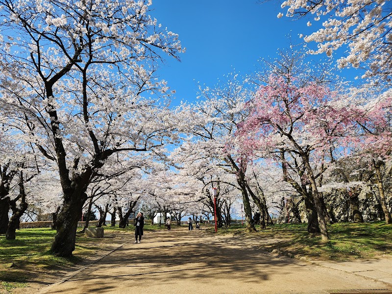 岩手公園(盛岡城跡公園) 1