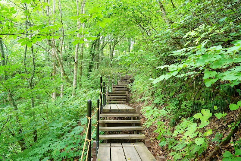 The World Heritage Beech Forest Trail 1
