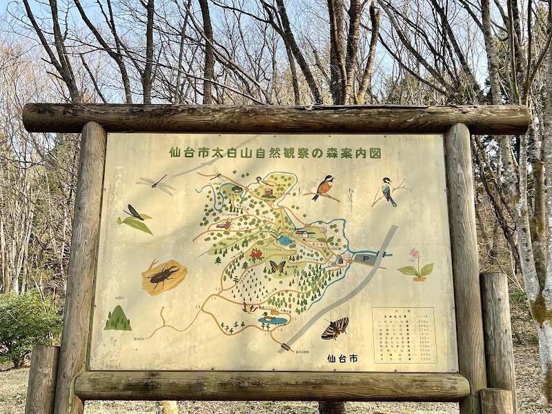 仙台市 太白山自然観察の森 1