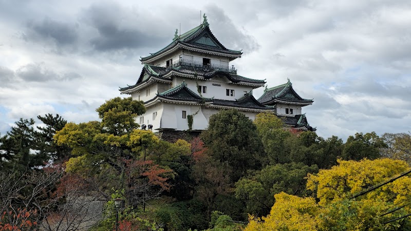 Wakayama Castle 1